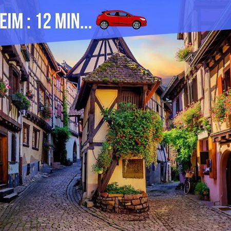 Le Blue St Leon : 2 Pieces Cozy Lit King Size Wifi Leilighet Colmar Eksteriør bilde