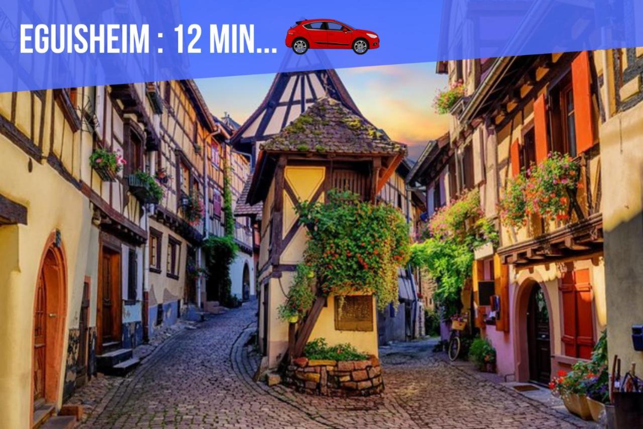 Le Blue St Leon : 2 Pieces Cozy Lit King Size Wifi Leilighet Colmar Eksteriør bilde