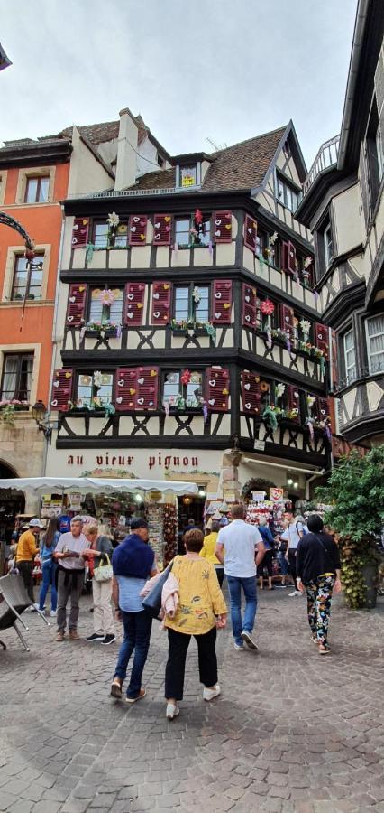 Le Blue St Leon : 2 Pieces Cozy Lit King Size Wifi Leilighet Colmar Eksteriør bilde