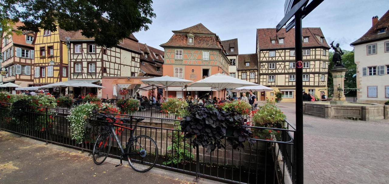 Le Blue St Leon : 2 Pieces Cozy Lit King Size Wifi Leilighet Colmar Eksteriør bilde